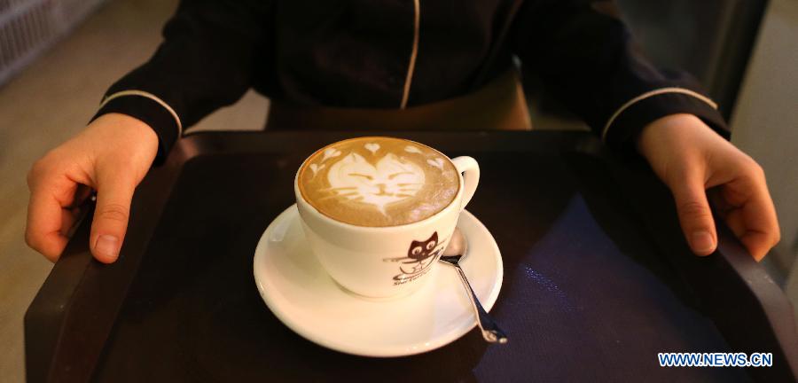 Cat-themed cafe in Northeast China's Liaoning province