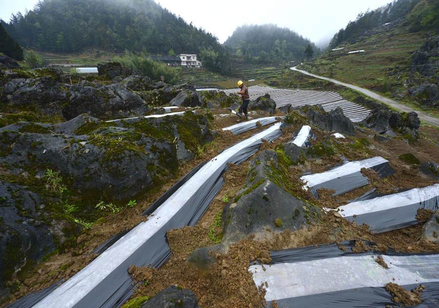 Chinese farmers plough their lands for spring