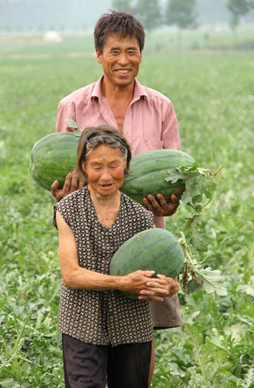 Watermelon harvest puts smile on farmer's faces