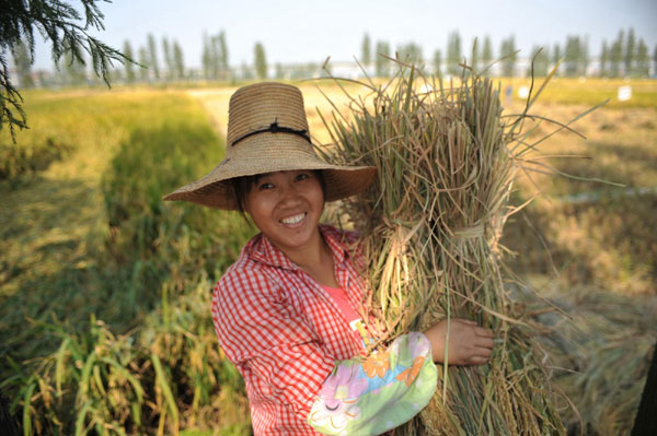 Chinese farmers look to more land reform