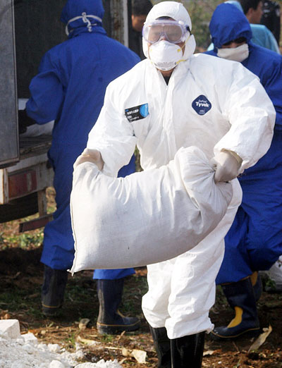 Bird flu drill in Shandong