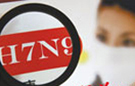 H7N9-concerned Taiwan plans earlier slaughtering ban