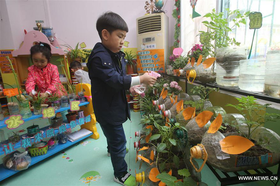 Kindergarten in C China brings spring to classroom