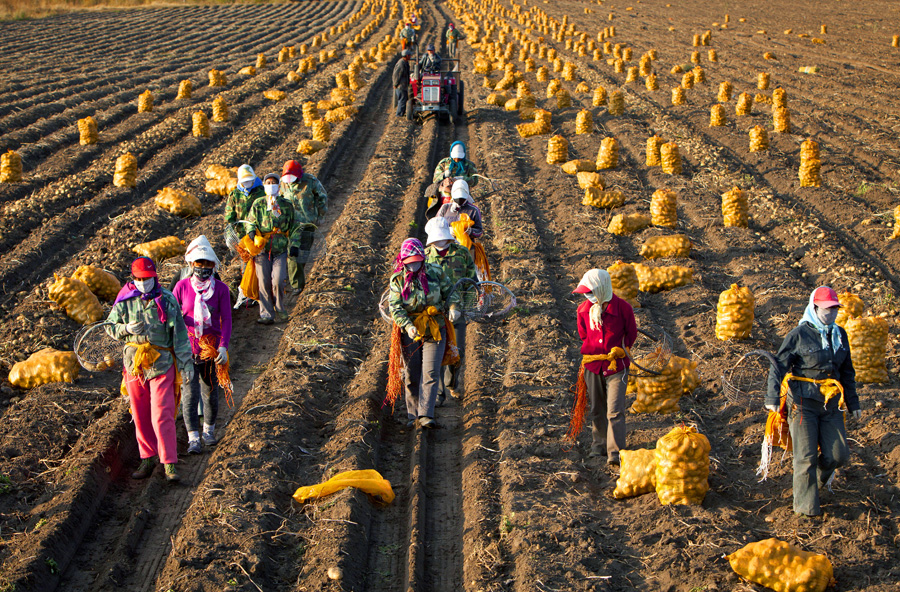 New photo series captures life in China