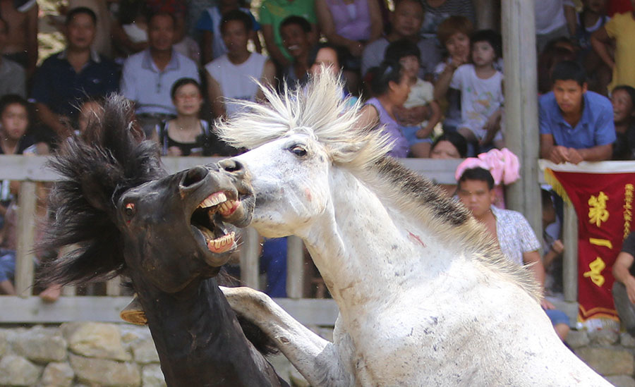 Ten photos from around China: July 8-14