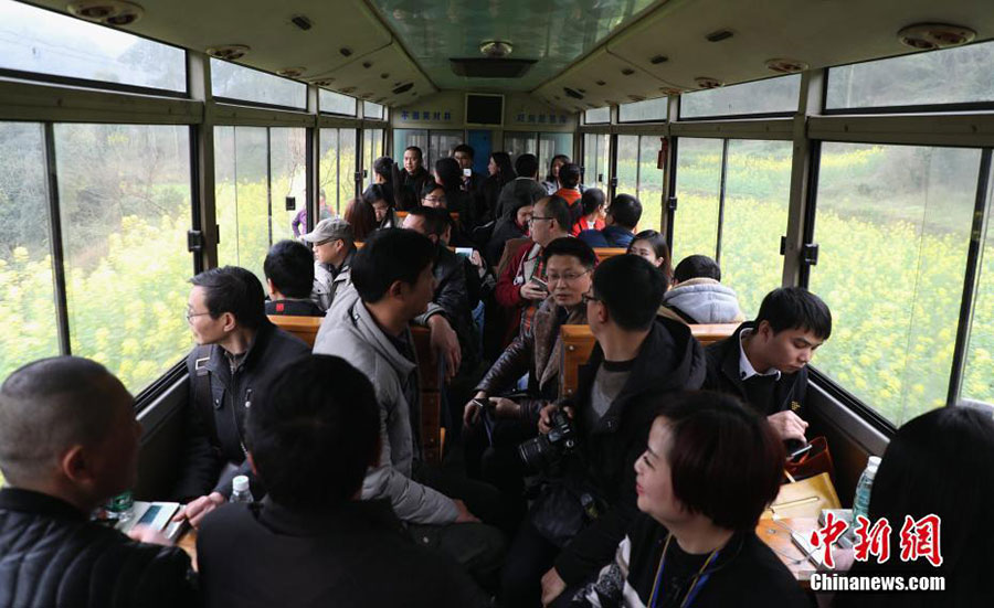 All aboard! Travel back in time among Sichuan's blooming flowers