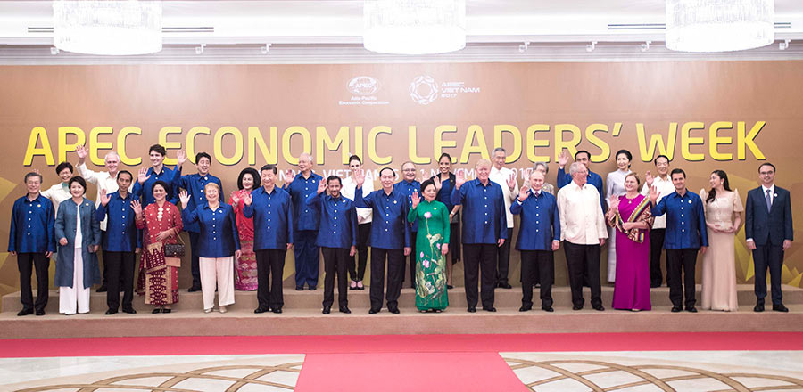 In pics: Xi's hectic schedule during APEC meetings in Vietnam