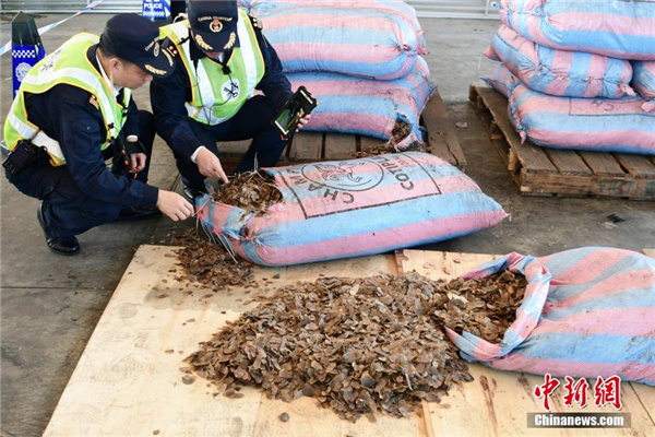 Customs seizes smuggled pangolin parts