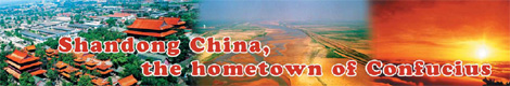 Shandong outlines ambitious 2010 programs