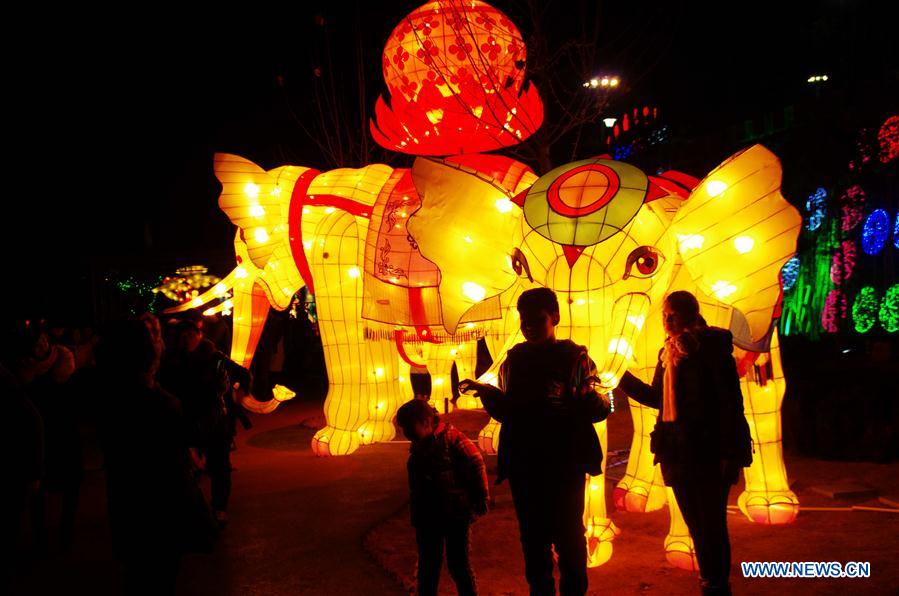 Festival lanterns lit up to greet upcoming Spring Festival in Henan