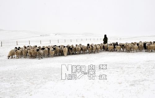 持續低溫降雪內蒙古克什克騰旗再次遭受雪災