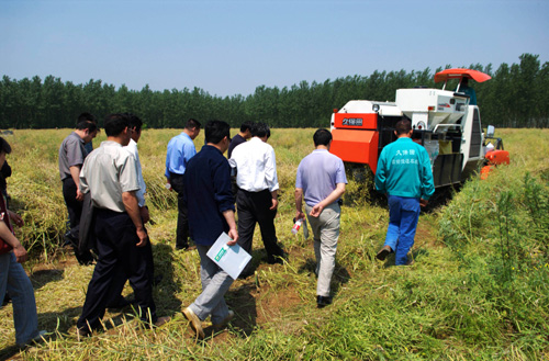 河南油菜生產機械化技術演示會在商城縣召開