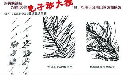 媒體揭羽絨制品內(nèi)幕:幾塊錢飛絲冒充幾百塊鵝絨