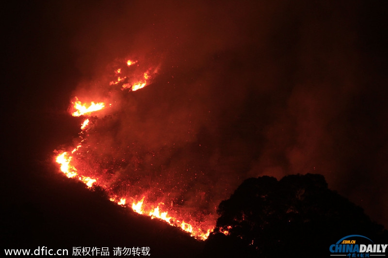 香港一山林突發(fā)大火 燒紅整座山濃煙隨風(fēng)飄向深圳