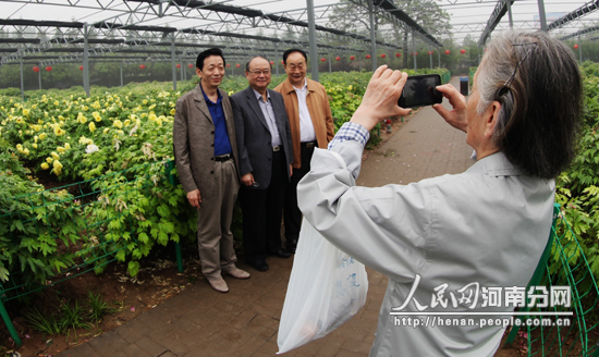 洛陽國際牡丹園進入妁藥盛花期