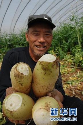 商務(wù)部緊急下發(fā)通知緩解蔬菜“賣(mài)難”