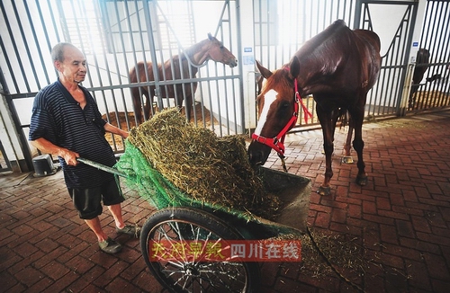 每匹馬價值百萬 想玩它們得交18.8萬入會費