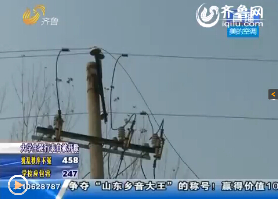 梁山一鴨棚疑因電線掉落起火 上萬只鴨子變“烤鴨”