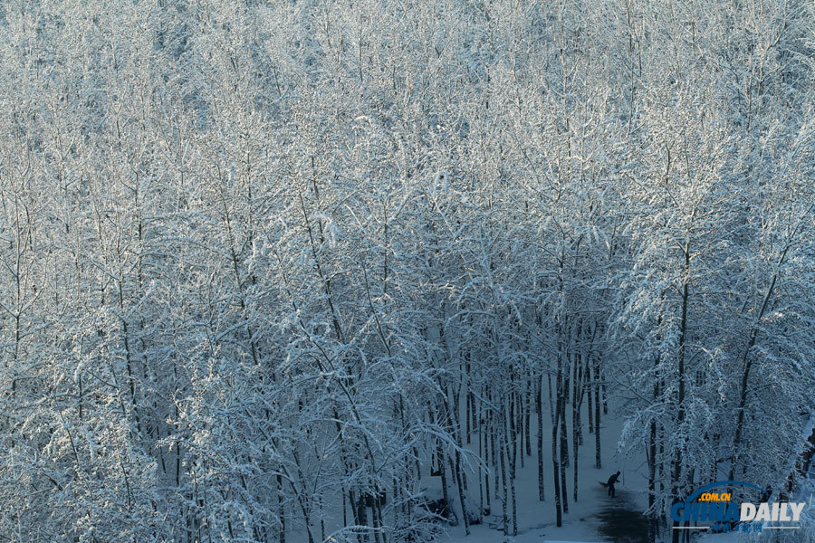 北京春分迎強降雪 頤和園游人“雪戰(zhàn)”