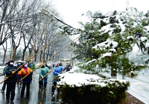 網友吐槽北京降“土加雪”：路邊汽車泥痕明顯