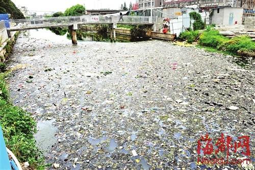 福建一河水污染發臭滋生蚊蟲 居民不敢開窗(圖)