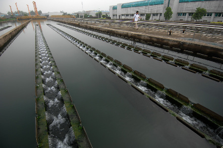 新安江水域苯酚濃度下降 水廠水質達標 超市供水充足