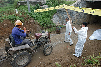 Bird flu case rated 'isolated' occurrence