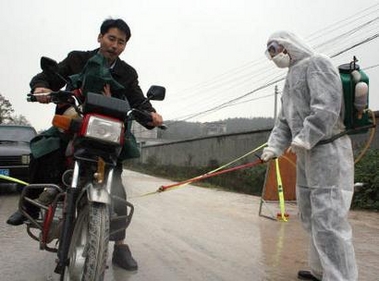 China: Bird flu vaccine for human use developed