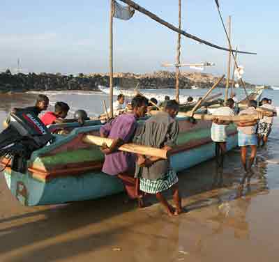 Tsunami inflicts havoc on fisheries