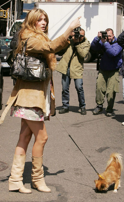 Mischa Barton walks pet pooch Ziggy