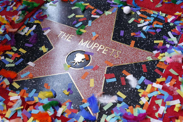 'The Muppets' gets Hollywood fame star