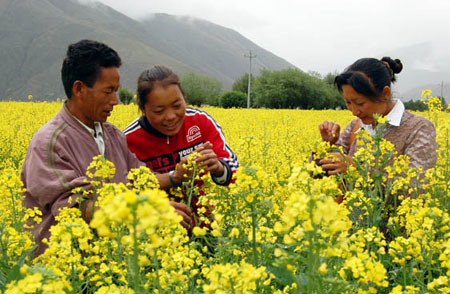 Tibet designates 2,112 technicians