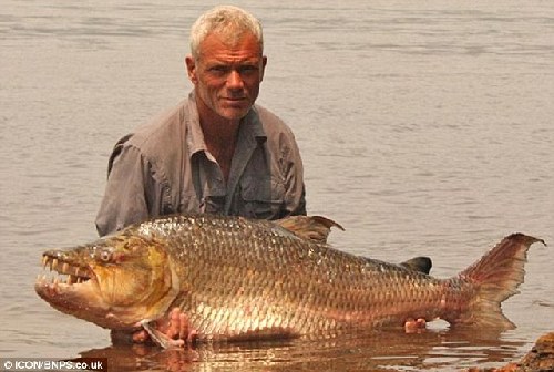 嚇你沒商量！英主持人指揮巨型食人魚拍“恐怖照”