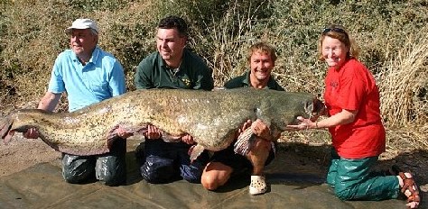 英國(guó)盲人婦女捕獲近百公斤重鯰魚(yú) 創(chuàng)兩項(xiàng)世界紀(jì)錄