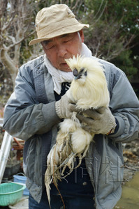 日本地震近一個月奇跡頻現(xiàn) 75歲老翁獲救、“雞堅(jiān)強(qiáng)”生還