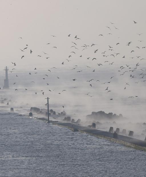 英媒：日本或面臨“特大地震” 7號地震是前震