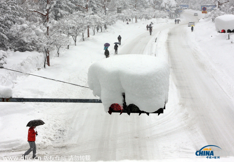 韓國暴雪持續5日 汽車被埋紅綠燈遭積雪覆蓋