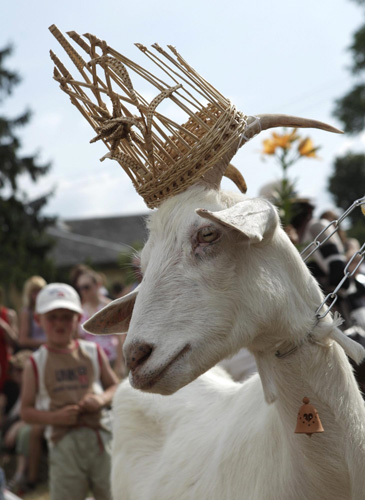 Goat 'beauty contest' in Lithuania