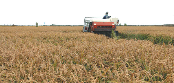 Bayer helps farmers to beat blight, boost yields