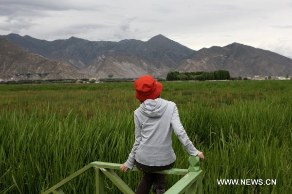 Lhalu wetland in Lhasa