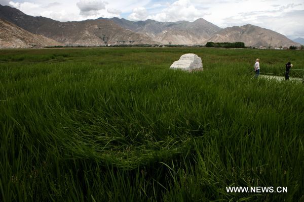 Lhalu wetland in Lhasa