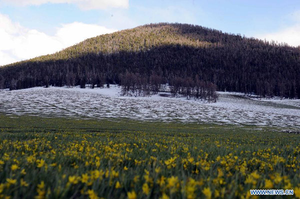 Serene scenery in Kanas, NW China