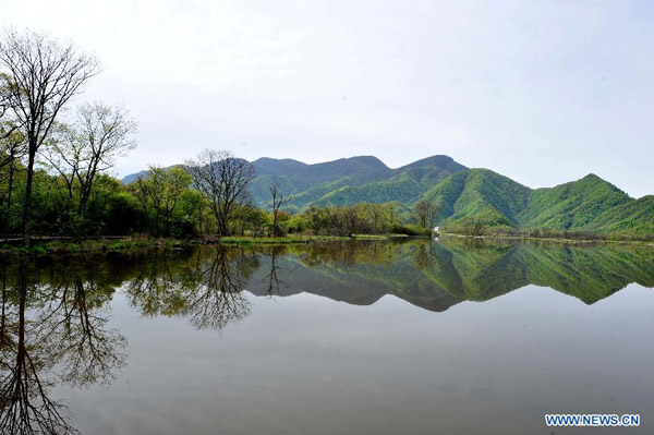 Scenery of Dajiuhu Wetland in Shennongjia