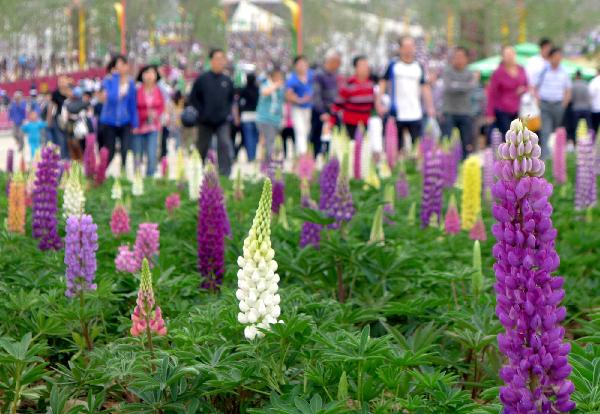 Beautiful scenery at Xi'an Int'l Horticultural Expo, China's Shaanxi