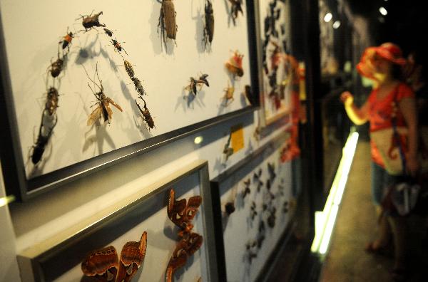 Tourists visit Greenhouse of Int'l Horticultural Exposition 2011 in China's Xi'an