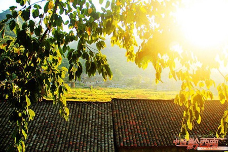 Get cozy in rural Qianxinan this autumn