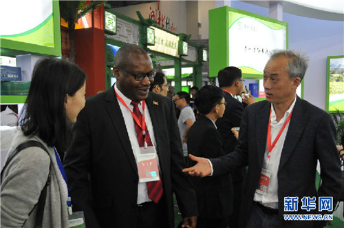 Guizhou promotes tea at intl expo