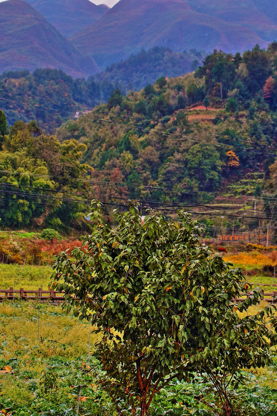 Guizhou through a photographer's eye