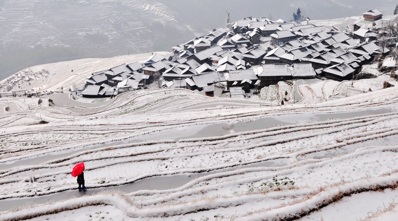 Freezing terraced fields in SW China's Guizhou