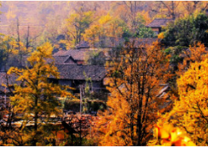 Enjoy Guizhou's world 'mosts'